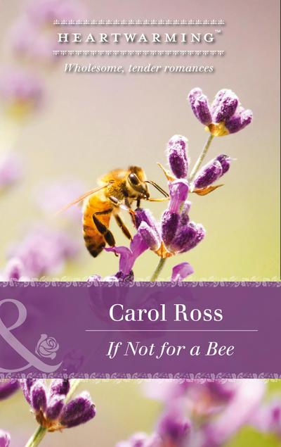 If Not For A Bee (Mills & Boon Heartwarming) (Seasons of Alaska, Book 3)