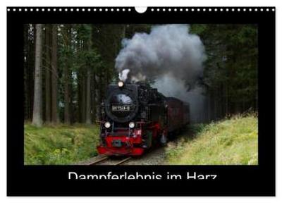 Dampferlebnis im Harz (Wandkalender 2026 DIN A3 quer), CALVENDO Monatskalender