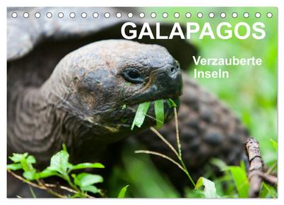 Galapagos. Verzauberte Inseln (Tischkalender 2024 DIN A5 quer), CALVENDO Monatskalender