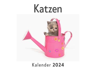 Katzen (Wandkalender 2024, Kalender DIN A4 quer, Monatskalender im Querformat mit Kalendarium, Das perfekte Geschenk)