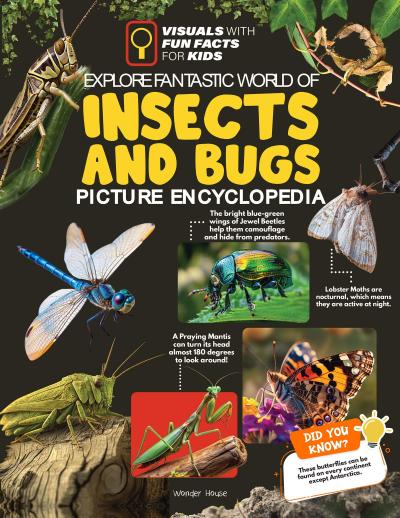 Explore Fantastic World of Insects and Bugs Picture Encyclopedia