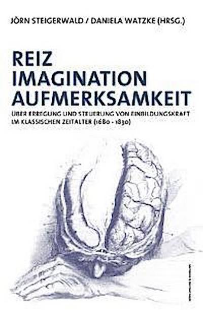Reiz, Imagination, Aufmerksamkeit