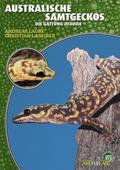 Australische Samtgeckos