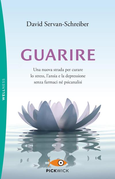 Guarire. Una nuova strada per curare lo stress, l’ansia e la depressione senza farmaci né psicanalisi