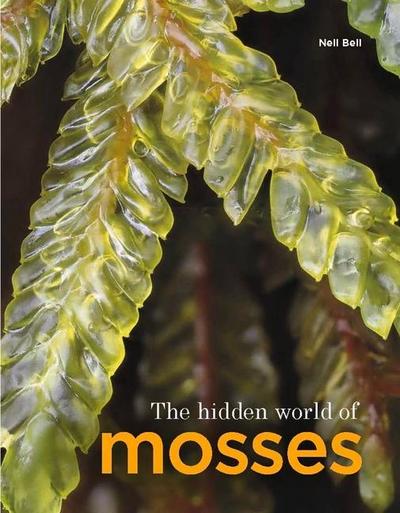 The Hidden World of Mosses