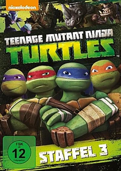 Teenage Mutant Ninja Turtles - Season 3