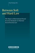 Between Soft and Hard Law