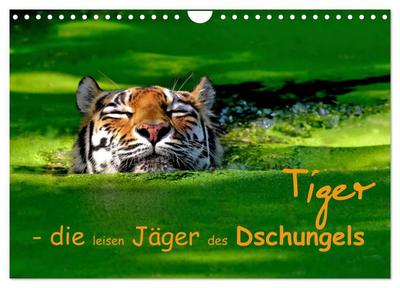 Tiger - die leisen Jäger des Dschungels (Wandkalender 2024 DIN A4 quer), CALVENDO Monatskalender