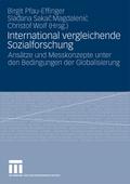 International vergleichende Sozialforschung