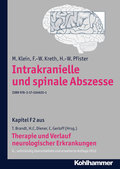Intrakranielle und spinale Abszesse - M. Klein