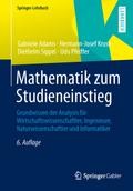 Mathematik zum Studieneinstieg