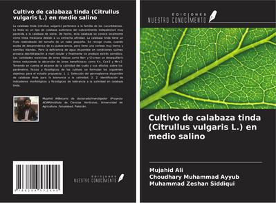 Cultivo de calabaza tinda (Citrullus vulgaris L.) en medio salino
