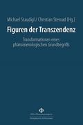 Figuren der Transzendenz