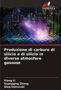 Produzione di carburo di silicio e di silicio in diverse atmosfere gassose