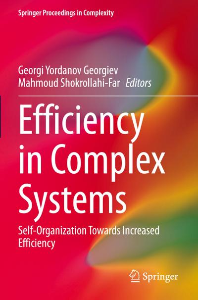 Efficiency in Complex Systems