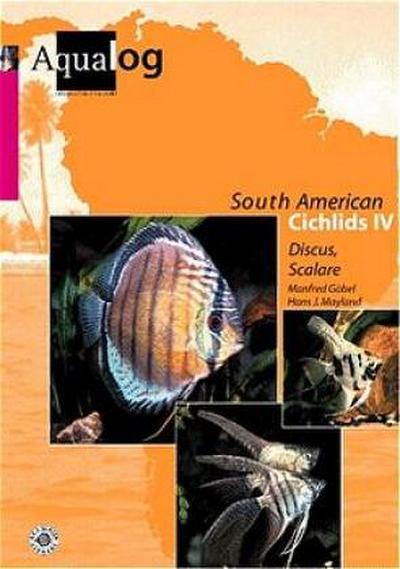 Southamerican Cichlids 4