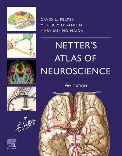 Netter’s Atlas of Neuroscience E-Book