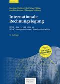 Internationale Rechnungslegung