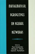 Mathematical Perspectives on Neural Networks