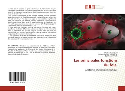 Les principales fonctions du foie