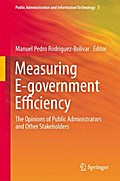 Measuring E-government Efficiency