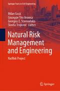 Natural Risk Management and Engineering