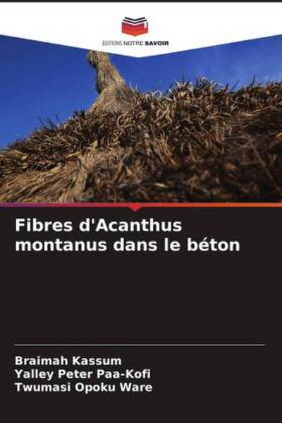 Fibres d’Acanthus montanus dans le béton