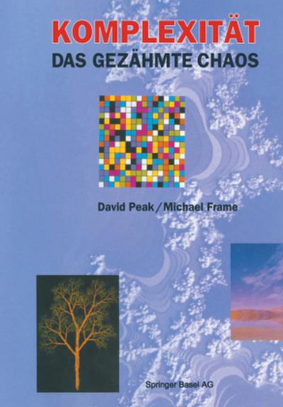 Komplexität - das gezähmte Chaos