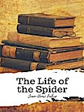 The Life of the Spider