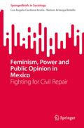 Feminism, Power and Public Opinion in Mexico