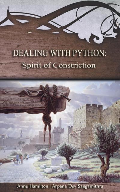 Dealing with Python