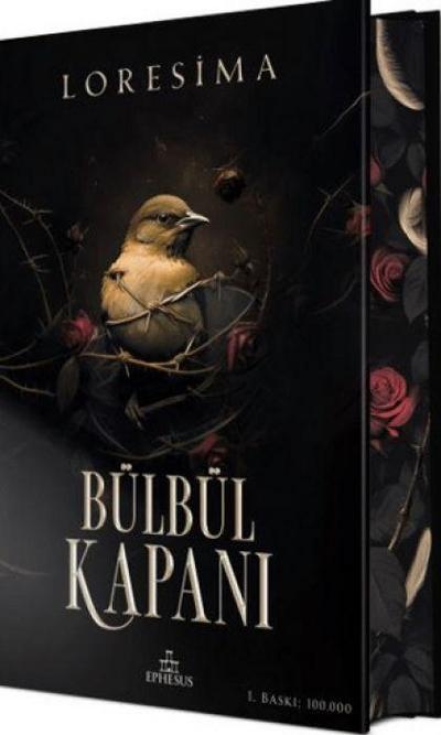 Bülbül Kapani 1 Yan Boyamali, Ciltli