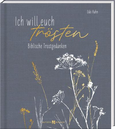 Ich will euch trösten