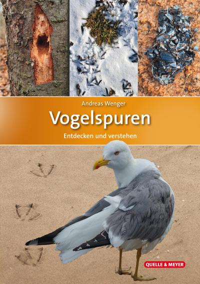 Vogelspuren
