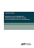 Numerische und experimentelle Untersuchungen zum Einfluss von Fluktuationen bei der HCCI-Verbrennung