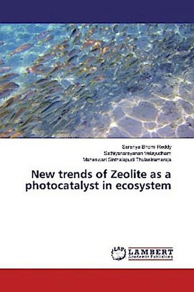 New trends of Zeolite as a photocatalyst in ecosystem