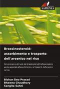 Brassinosteroid: assorbimento e trasporto dell’arsenico nel riso