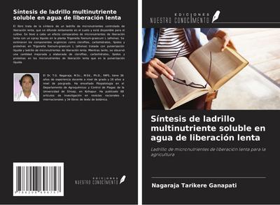 Síntesis de ladrillo multinutriente soluble en agua de liberación lenta