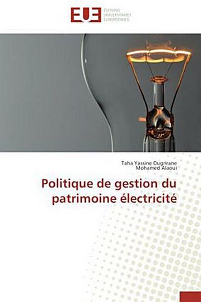 Politique de gestion du patrimoine électricité