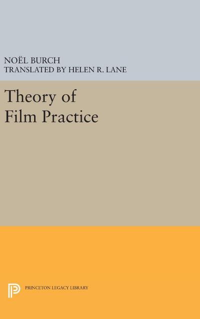 Theory of Film Practice