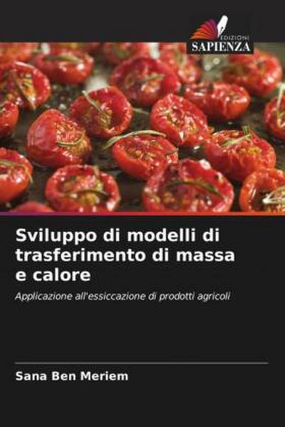Sviluppo di modelli di trasferimento di massa e calore