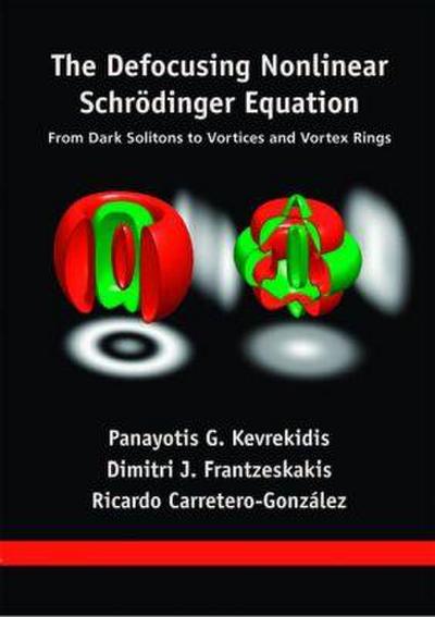 The Defocusing Nonlinear Schrödinger Equation