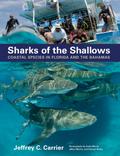 Sharks of the Shallows