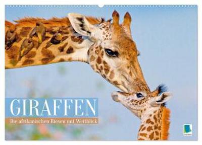 Giraffen: Die afrikanischen Riesen mit Weitblick (Wandkalender 2026 DIN A2 quer), CALVENDO Monatskalender