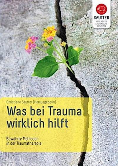 Was bei Trauma wirklich hilft