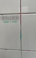 Ballbag