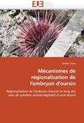 Mécanismes de régionalisation de l’’embryon d’’oursin