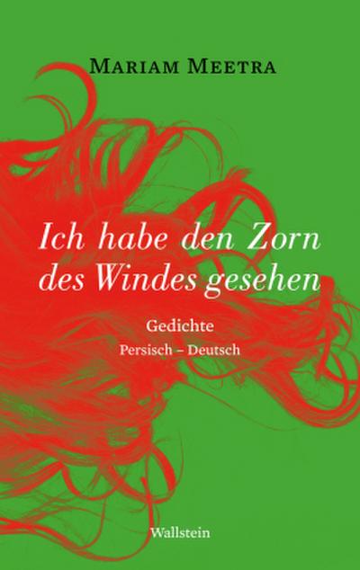 Ich habe den Zorn des Windes gesehen