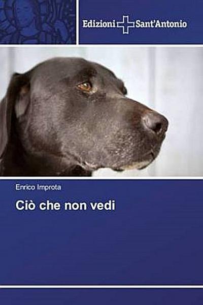 Ciò che non vedi
