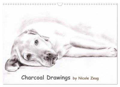 Charcoal Drawings (Wandkalender 2024 DIN A3 quer), CALVENDO Monatskalender